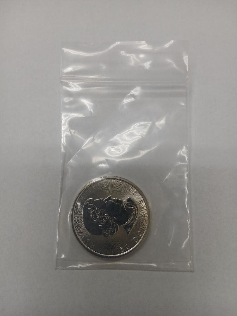 プラチナ メイプルリーフ  1オンス 31.1g 流通品 Ptインゴット