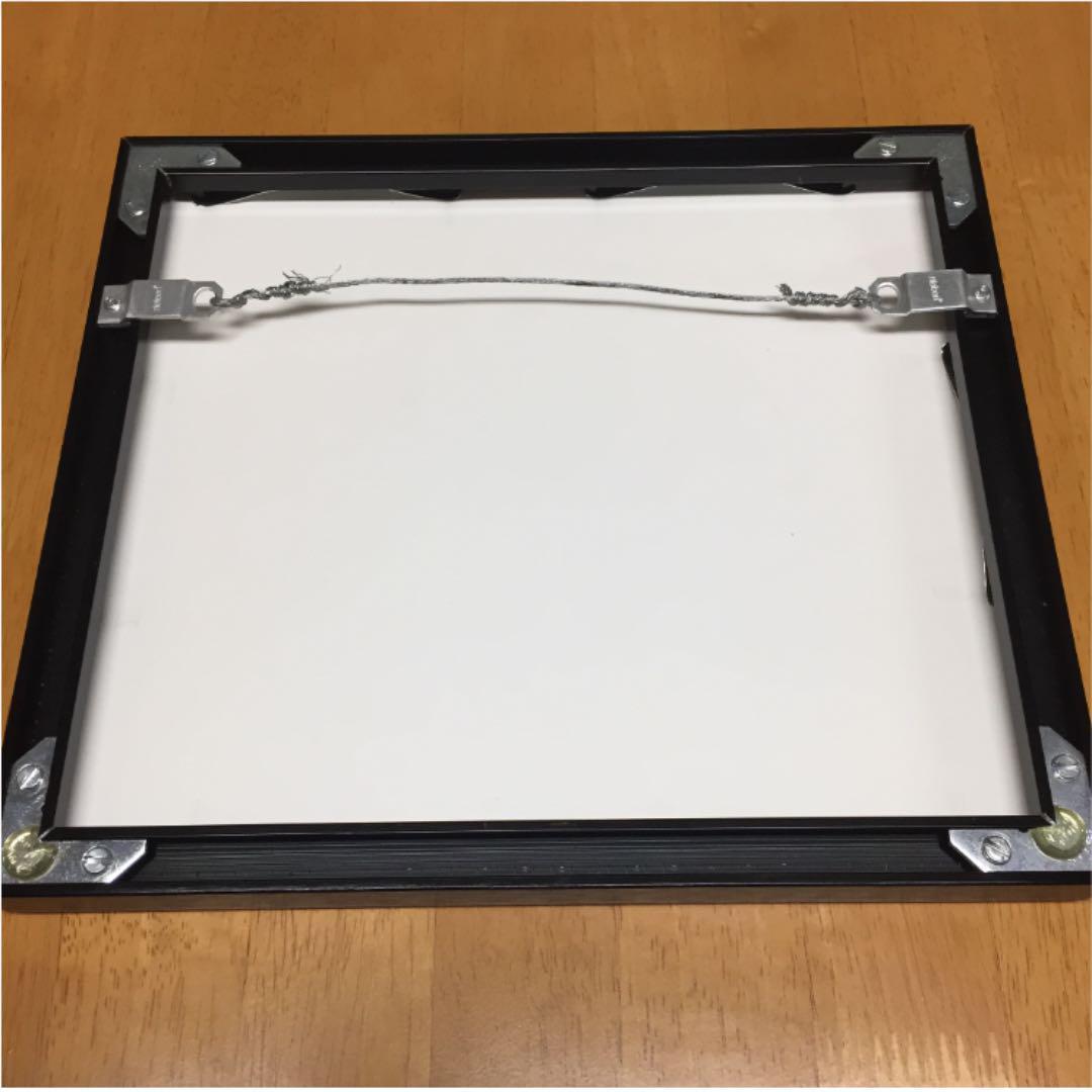 ルーニー・テューンズ セル画 原画 ワイリーコヨーテ ロードランナー