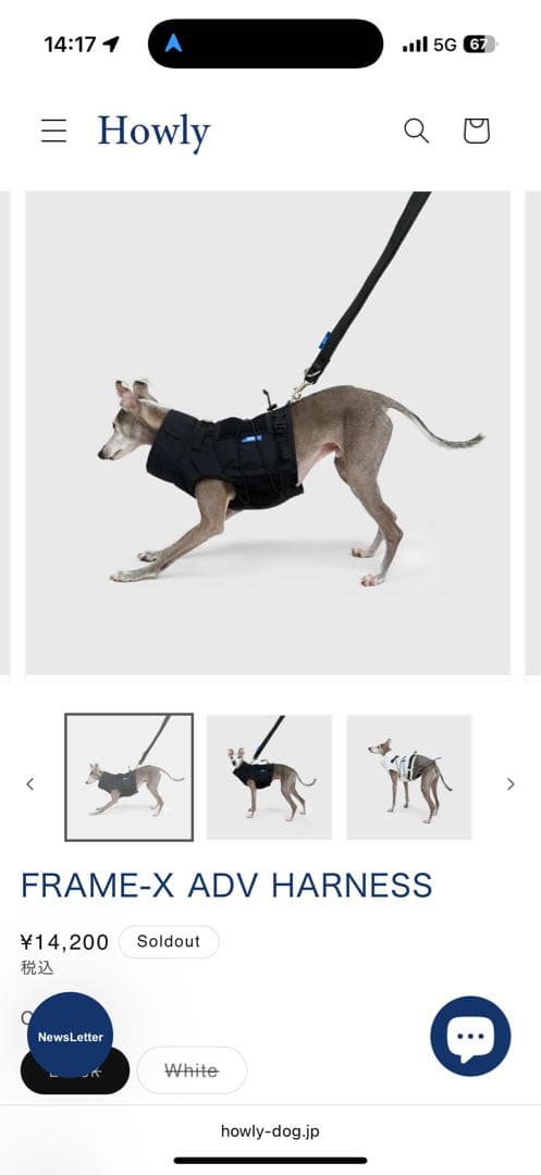 Mサイズ黒】 試着のみHowly FRAME-X ADV HARNESS