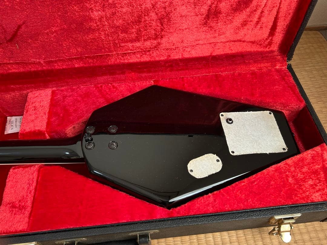 FERNANDES Lucy KANOKE 棺桶 BUCK-TICK 今井寿の通販はau PAY