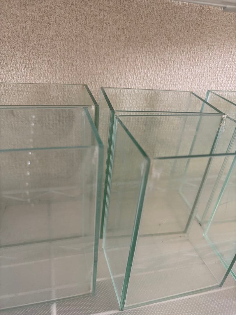 限定値引き ベタコレクションケースS まとめ売り