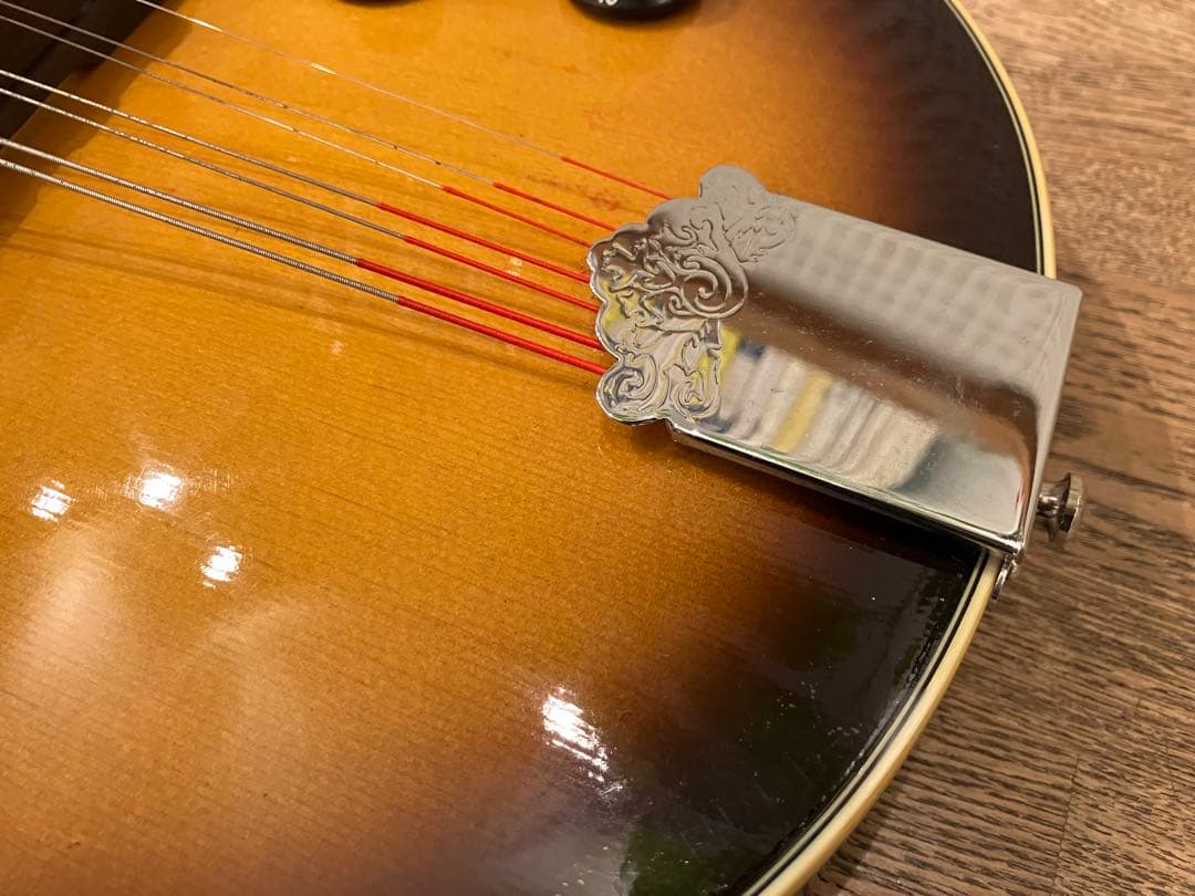 aria エレキマンドリン (Ritter ケース付き)