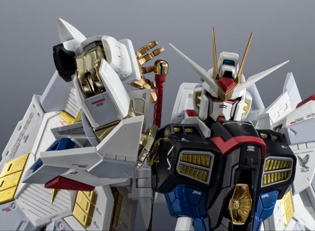 超合金 マイティーストライクフリーダムガンダム