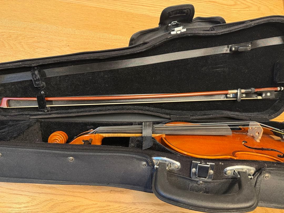 Andreas Eastman イーストマン　VL80 3/4 2017年