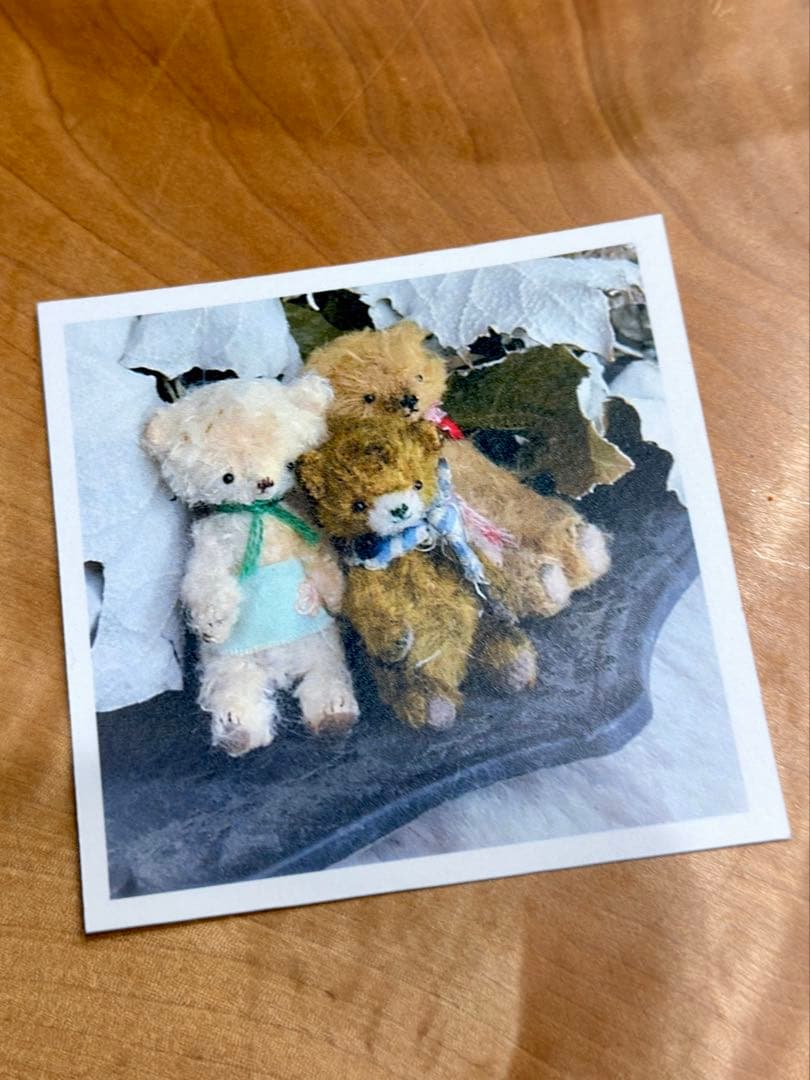 moriのえほん様 モデルのクマちゃん ミニチュア ぬいぐるみ テディベア