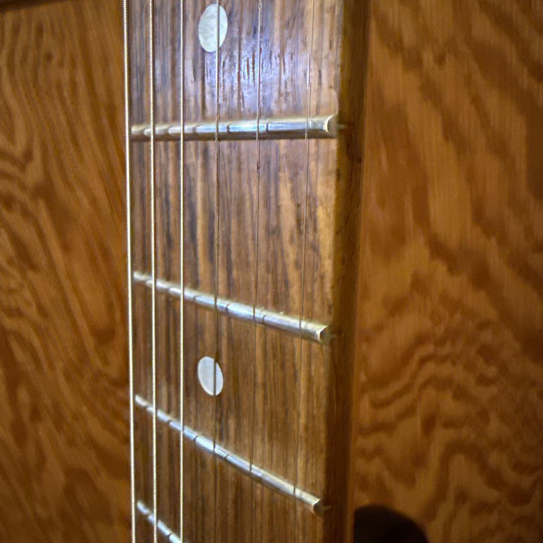 ターゲット モッキンバード TARGET BY FERNANDES HIDE