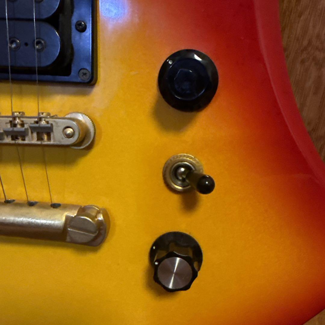 ターゲット モッキンバード TARGET BY FERNANDES HIDE