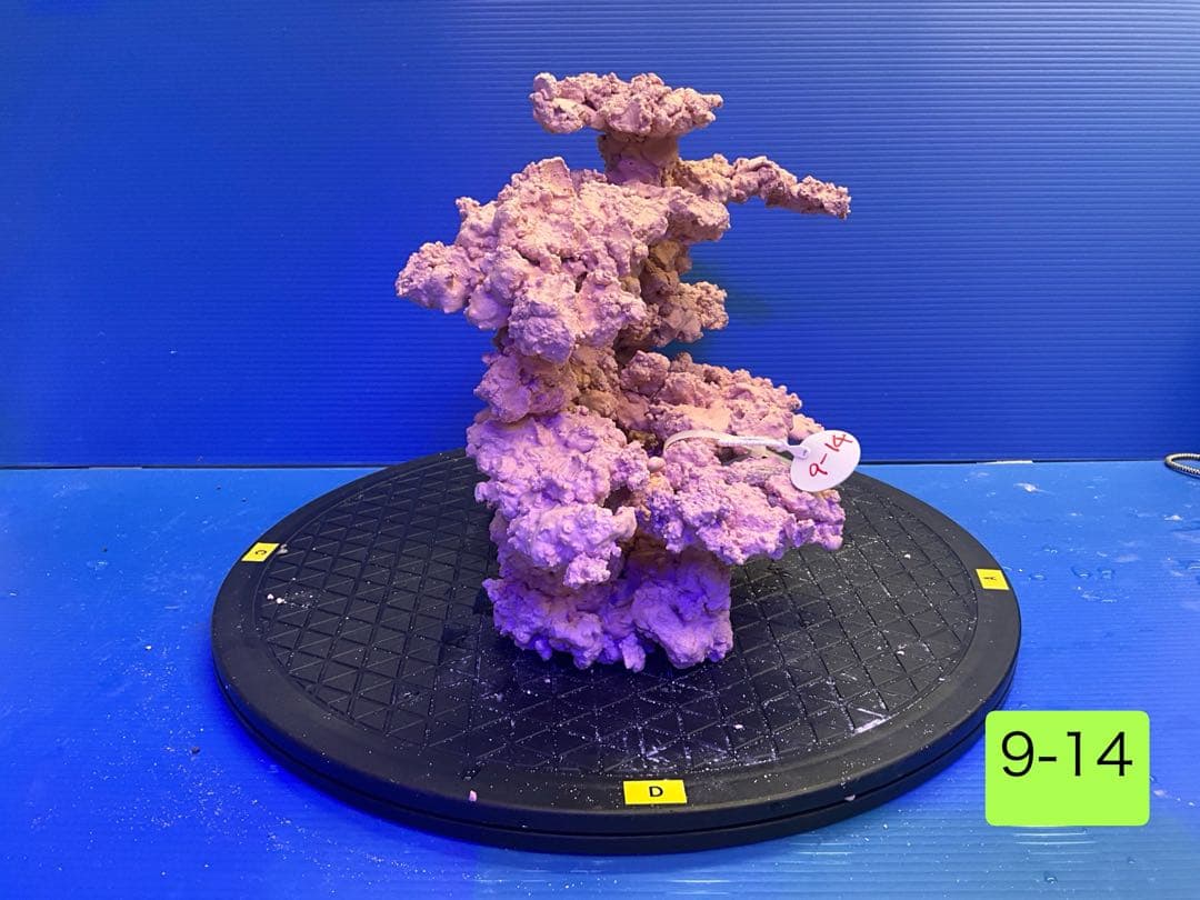 人工ライブロック　No.9-14 9-12 まとめて2個購入
