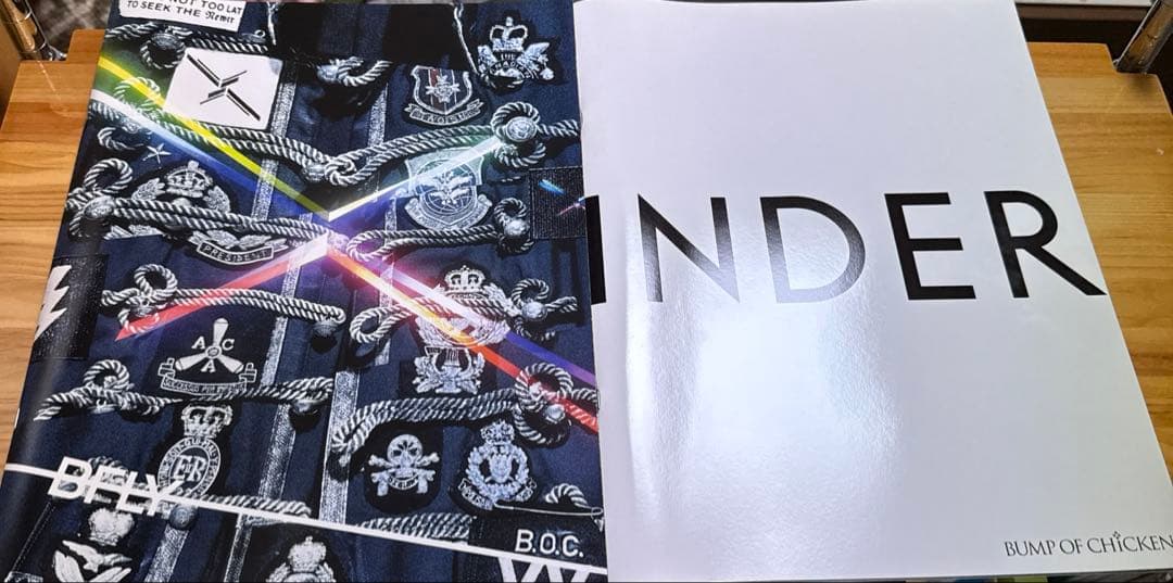 ◇新品未開封◇BUMP OF CHICKEN EASTPAK パデッドパッカー