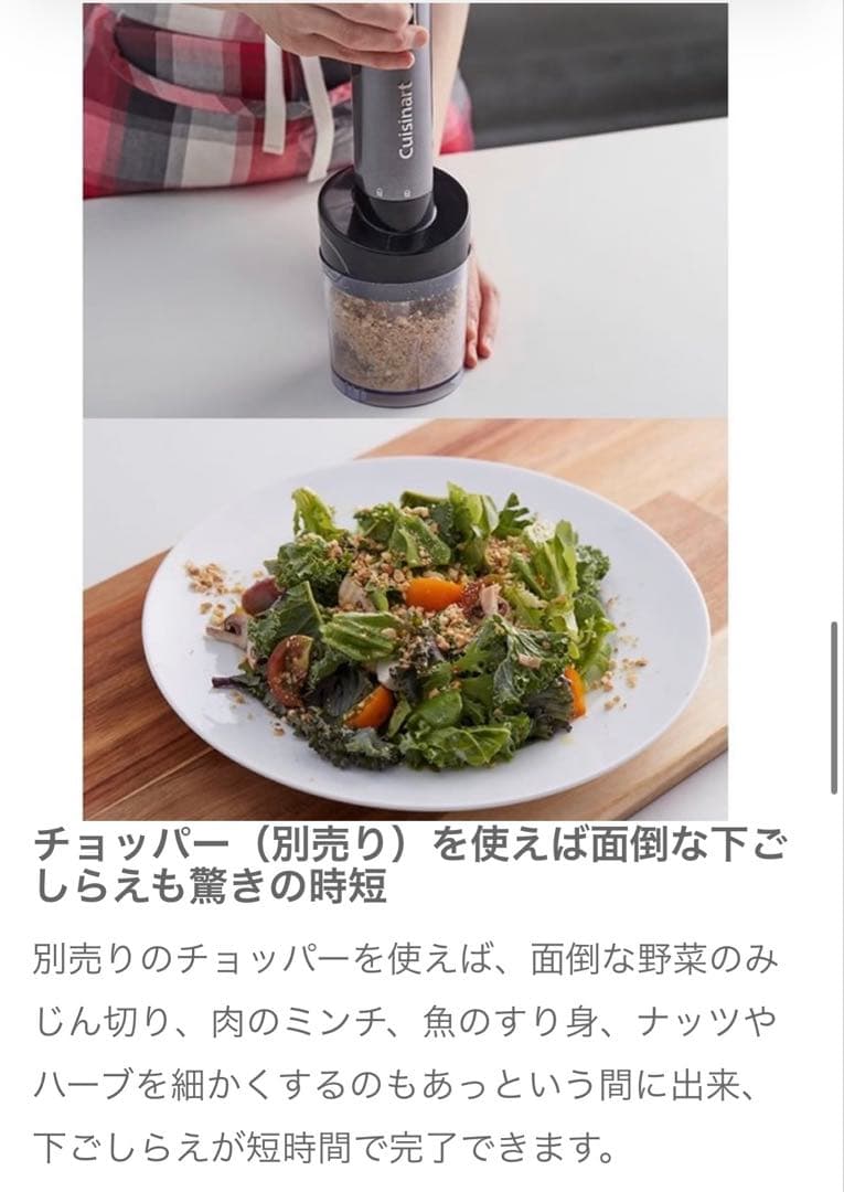 Cuisinart コードレスハンドブレンダー RHB-100J