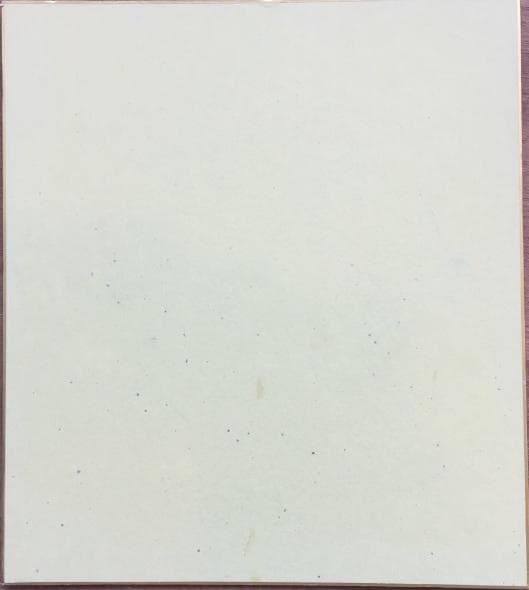 ●希少…リア・ディゾン…Leah Donna Dizon…直筆サイン入り色紙