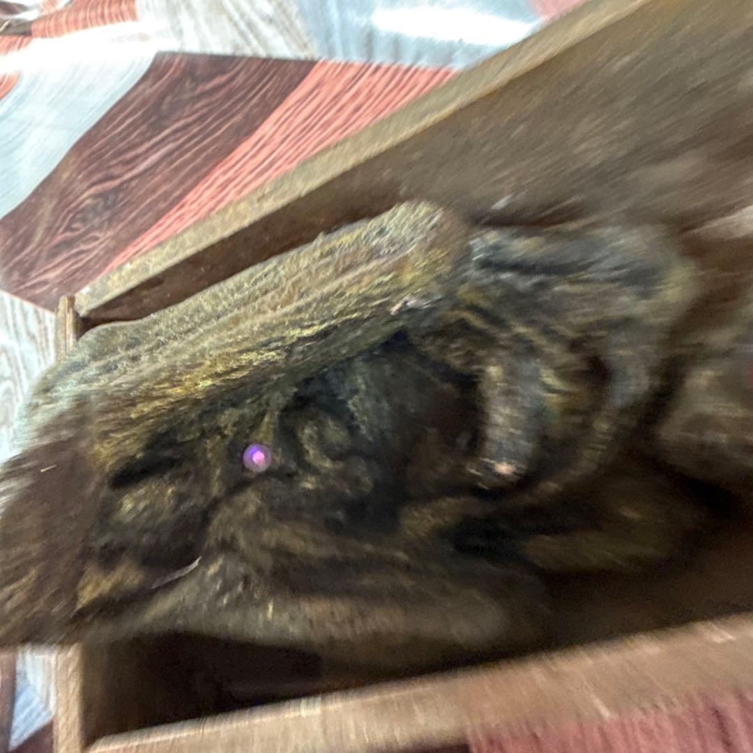 強運】プラクルアン クマントーン 開運 金運 商売繁盛 厄除け 魔除け