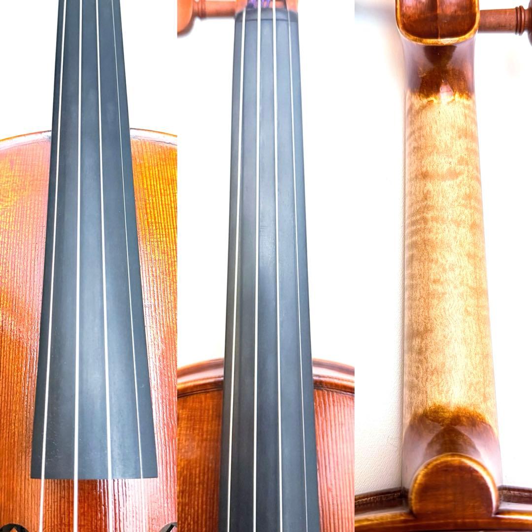 マンモス Pygmalius Derius Giappones 4/4