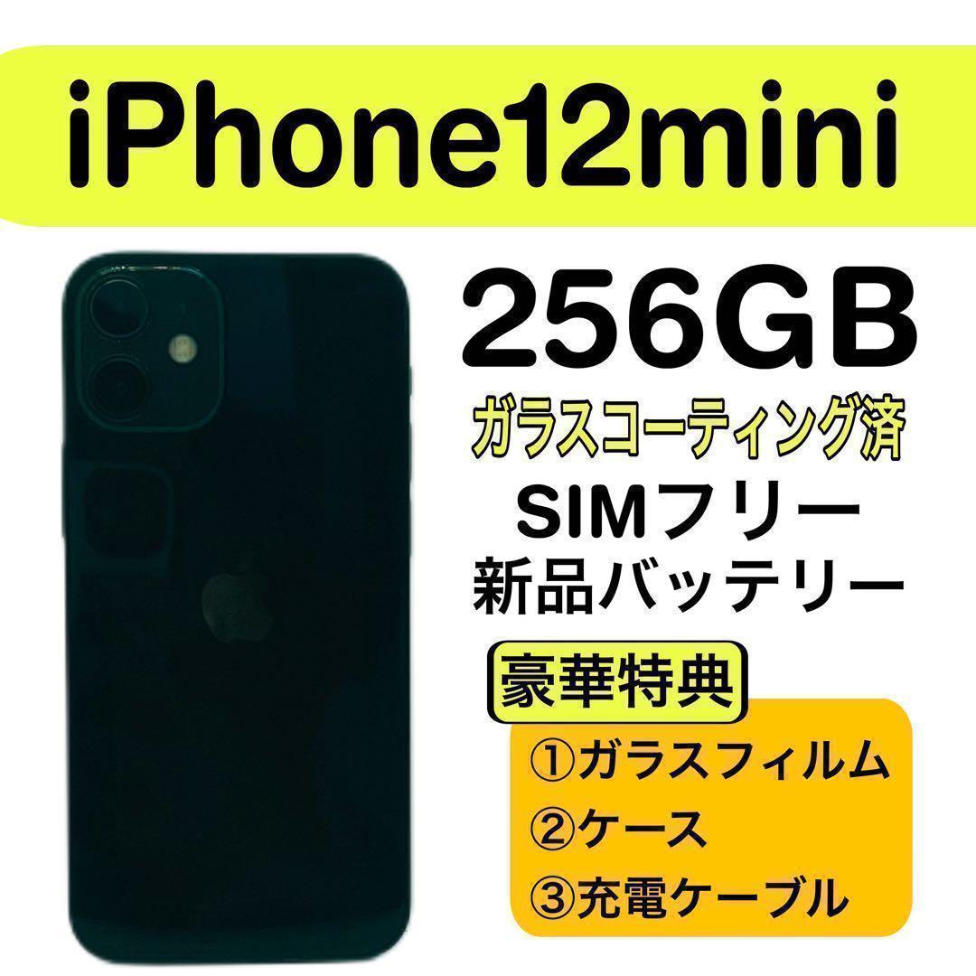 ⭐️新品バッテリー⭐️ iPhone 12mini 256GB SIMフリー 黒 - メルカリ