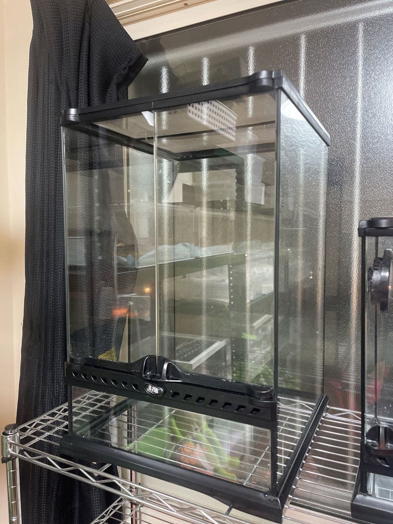 GEX EXOTERRA グラステラリウム3045 PT260 おまけ付き Amazon | ジェックス GEX EXOTERRA グラステラリウム3045 PT2602