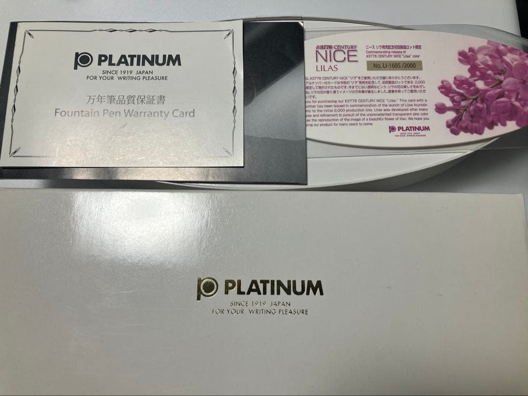 初期ロット　PLATINUM　#3776　センチュリー　ニース　リラ　B-nib