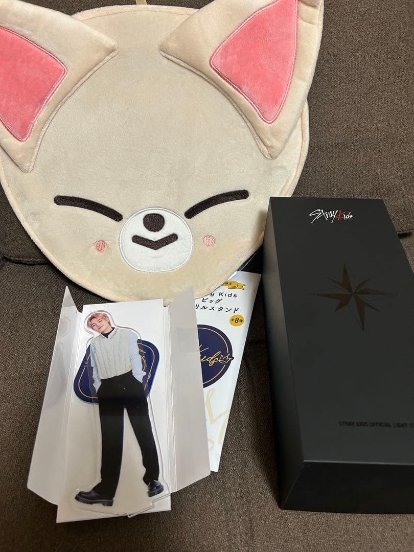 straykids 公式ペンライトver2 アイエンうちわケース