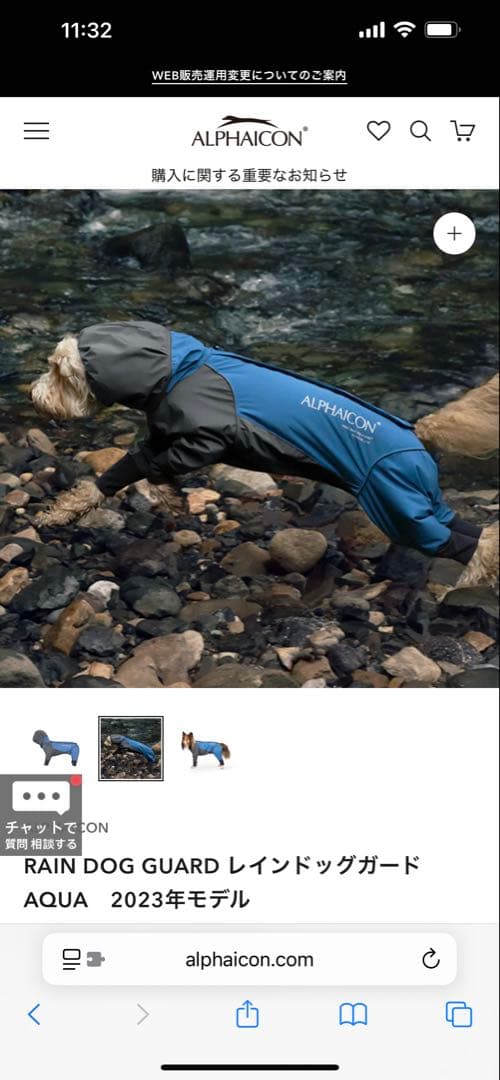 アルファアイコン RAIN DOG GUARD AQUA 2023年モデル