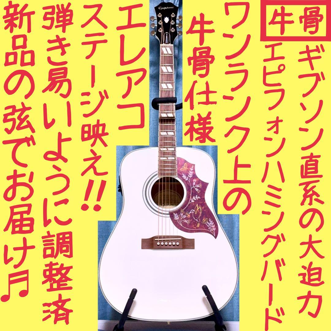 希少☆牛骨☆エレアコ】Epiphone☆ハミングバード☆限定カラー☆ホワイト☆