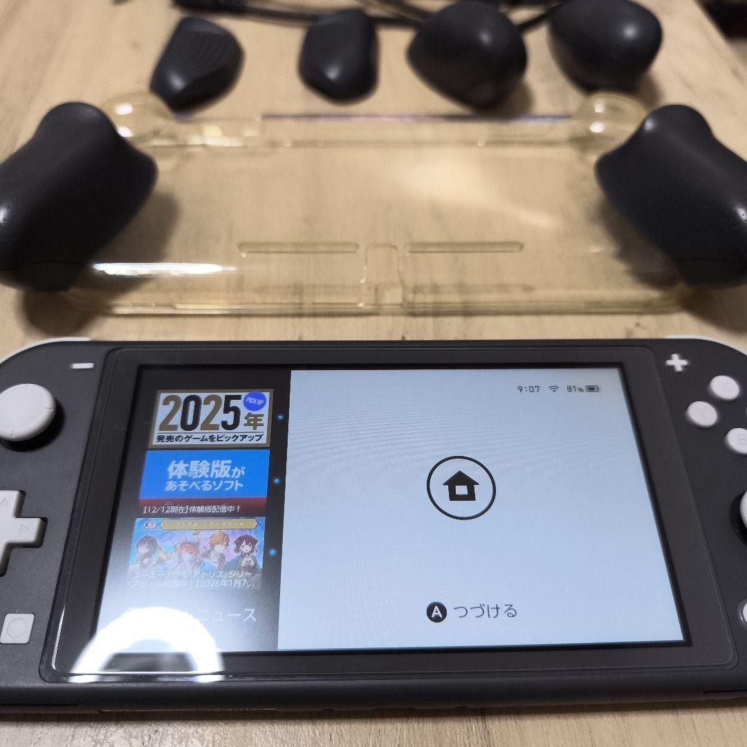 Nintendo Switch Lite グレー 本体 充電器付き