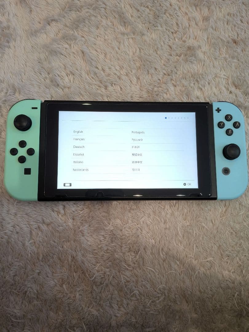 Nintendo Switch 本体 どうぶつの森