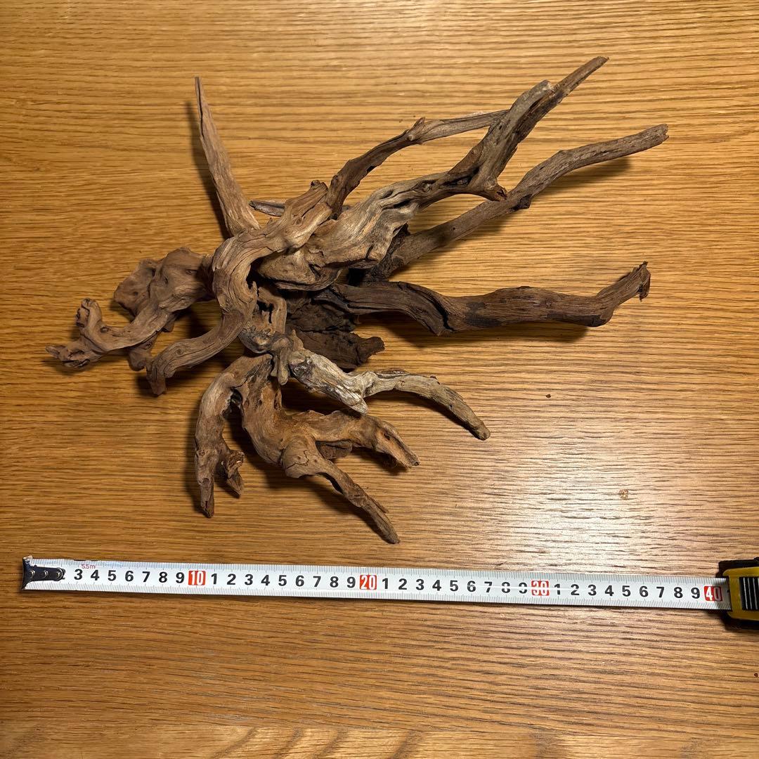 ADA流木6本（まとめ買いの場合は300円引） - メルカリ