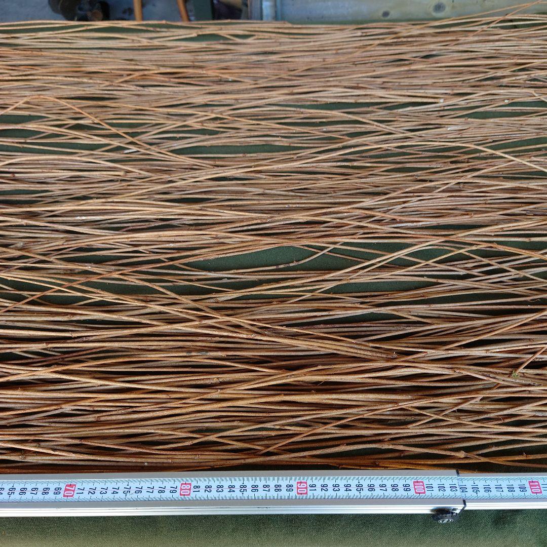 アケビの蔓(根蔓ランナー）