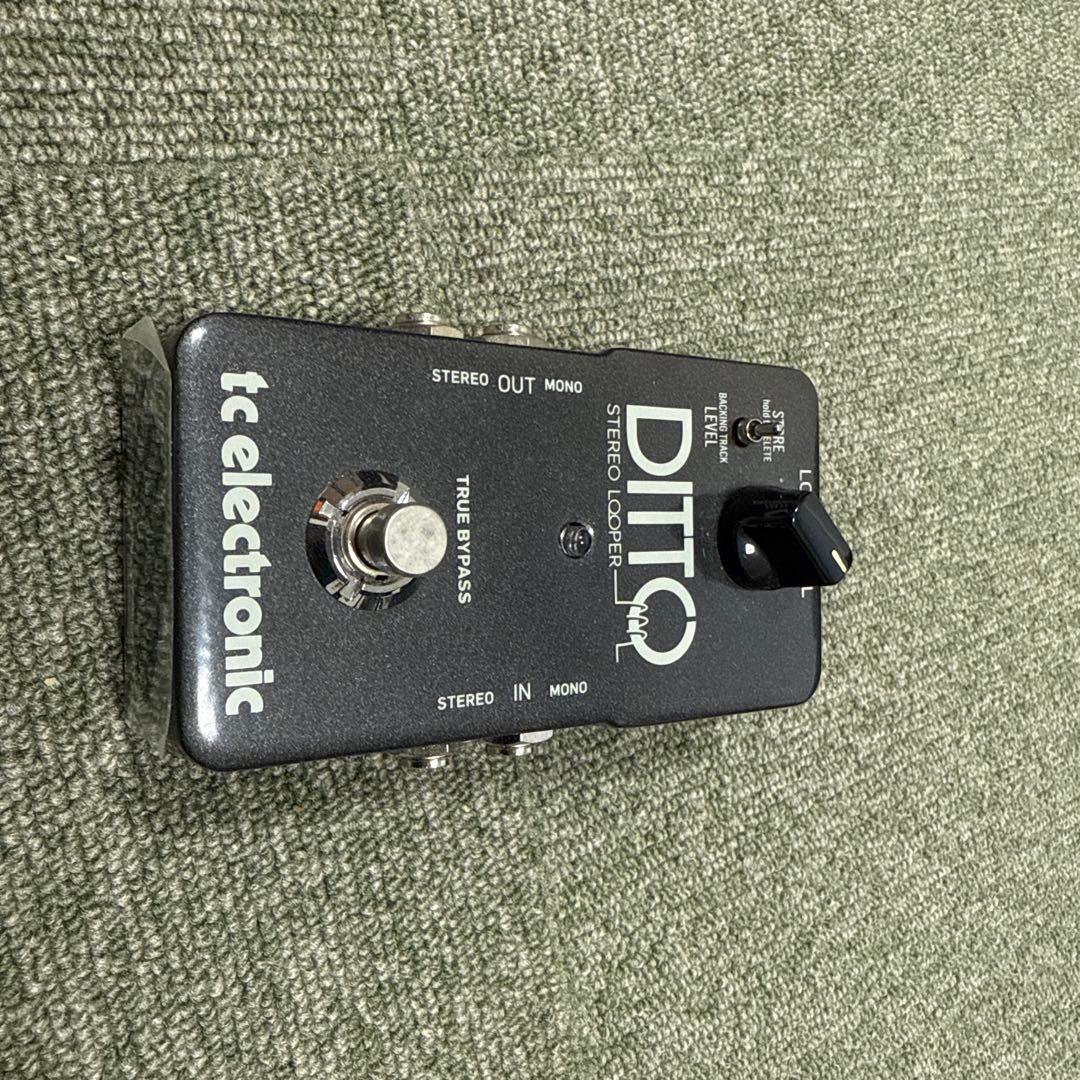ギター tc electronic DITTO STUDIO LOOPER