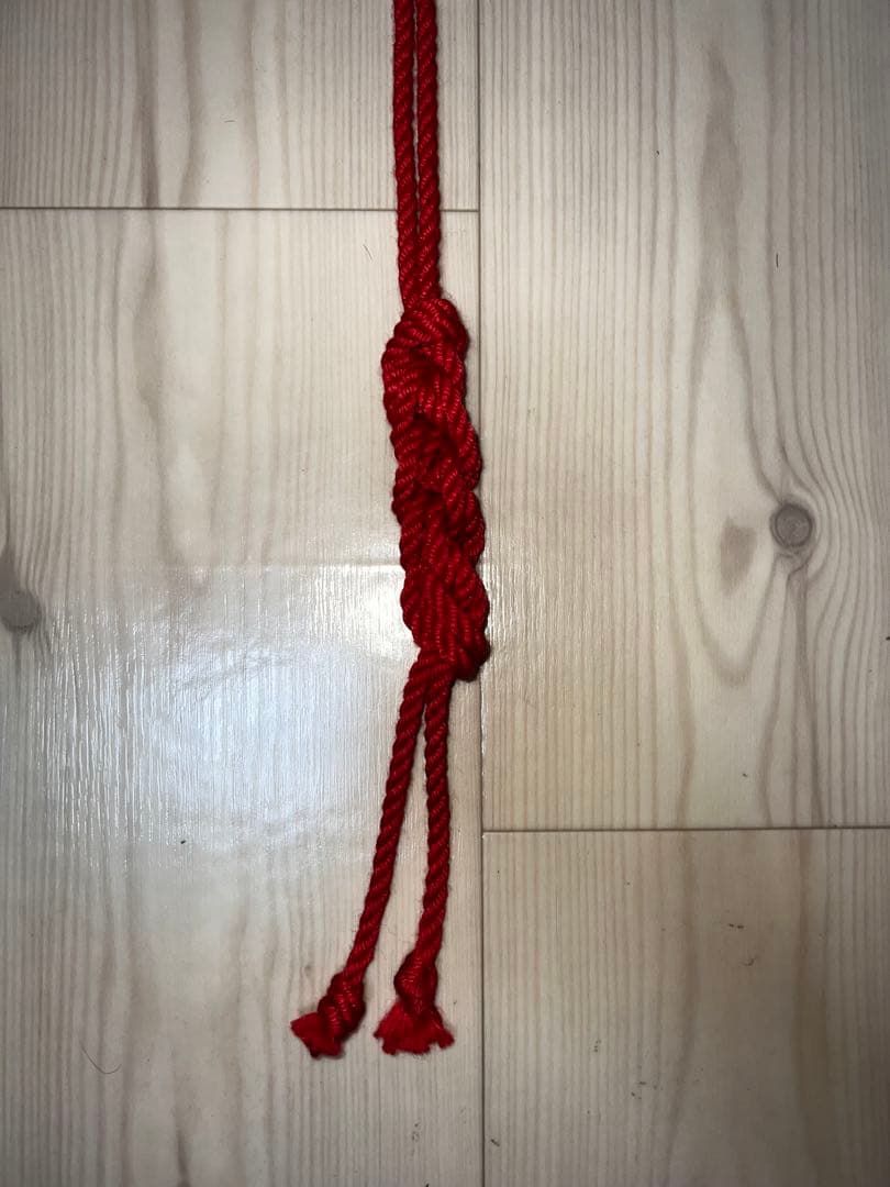 【レア・新品未使用】Hajime Kinoko 約63cm