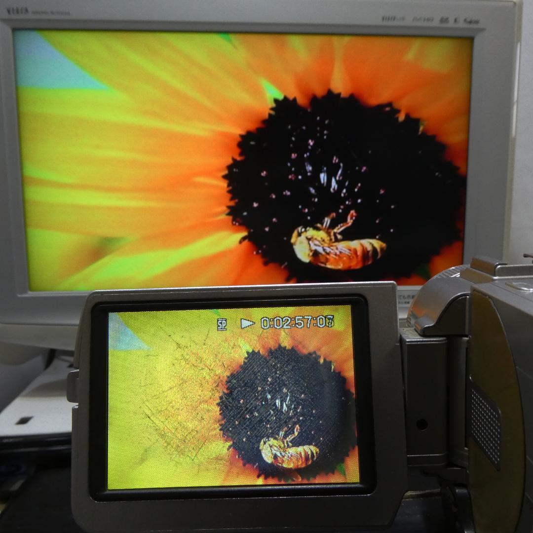 動作品ソニー DCR-TRV10 Mini DVビデオカメラDVDダビングに最適