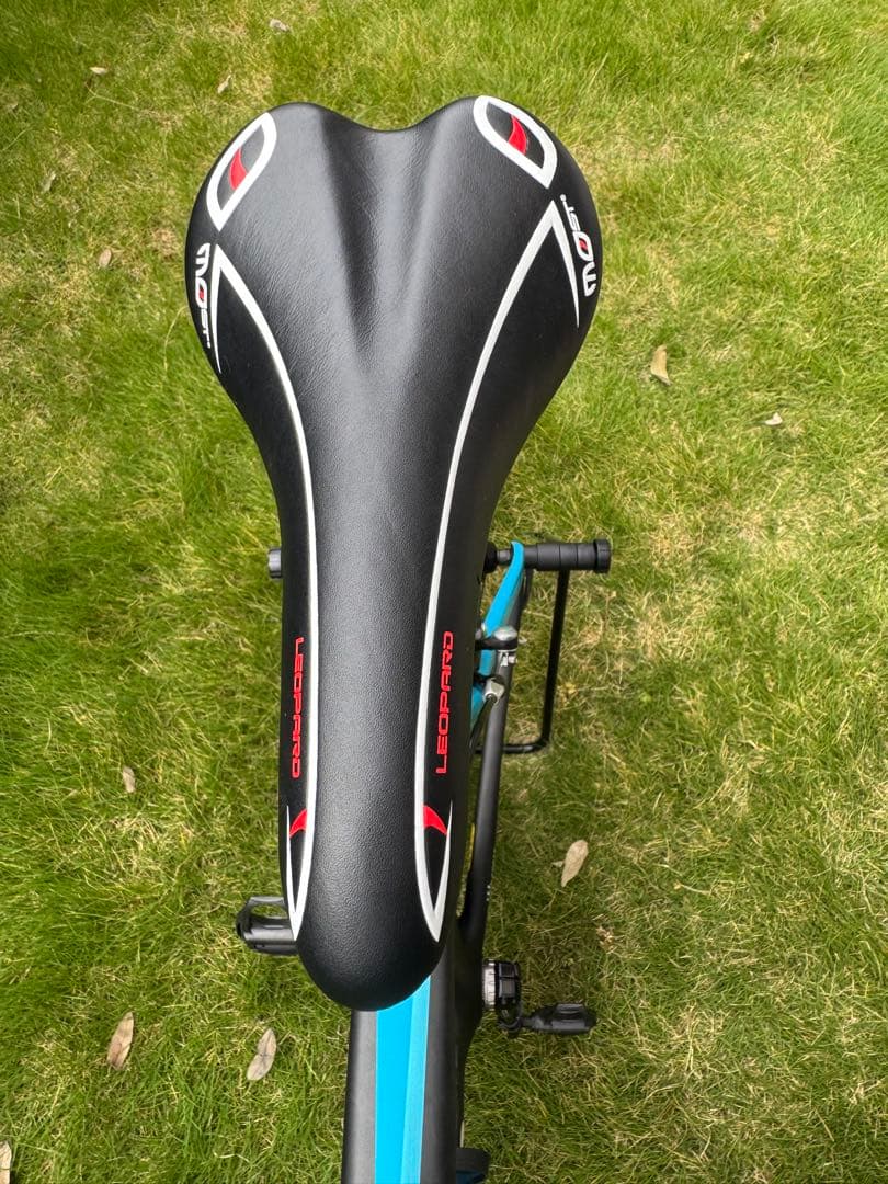 ピナレロ　GAN S 105 スカイ　53【手渡しのみ】