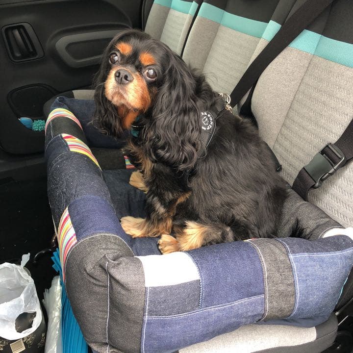 2025年最新】Yahoo!オークション -金箔(その他)の中古品・新品・未使用