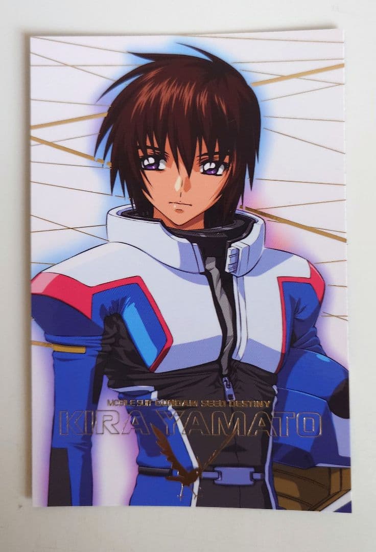 ガンダムSEED DESTINY フォトコレクション 28枚まとめ売り - メルカリ