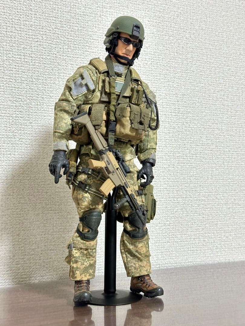 1/6 ミリタリー　カスタム　フィギュア　hottoys