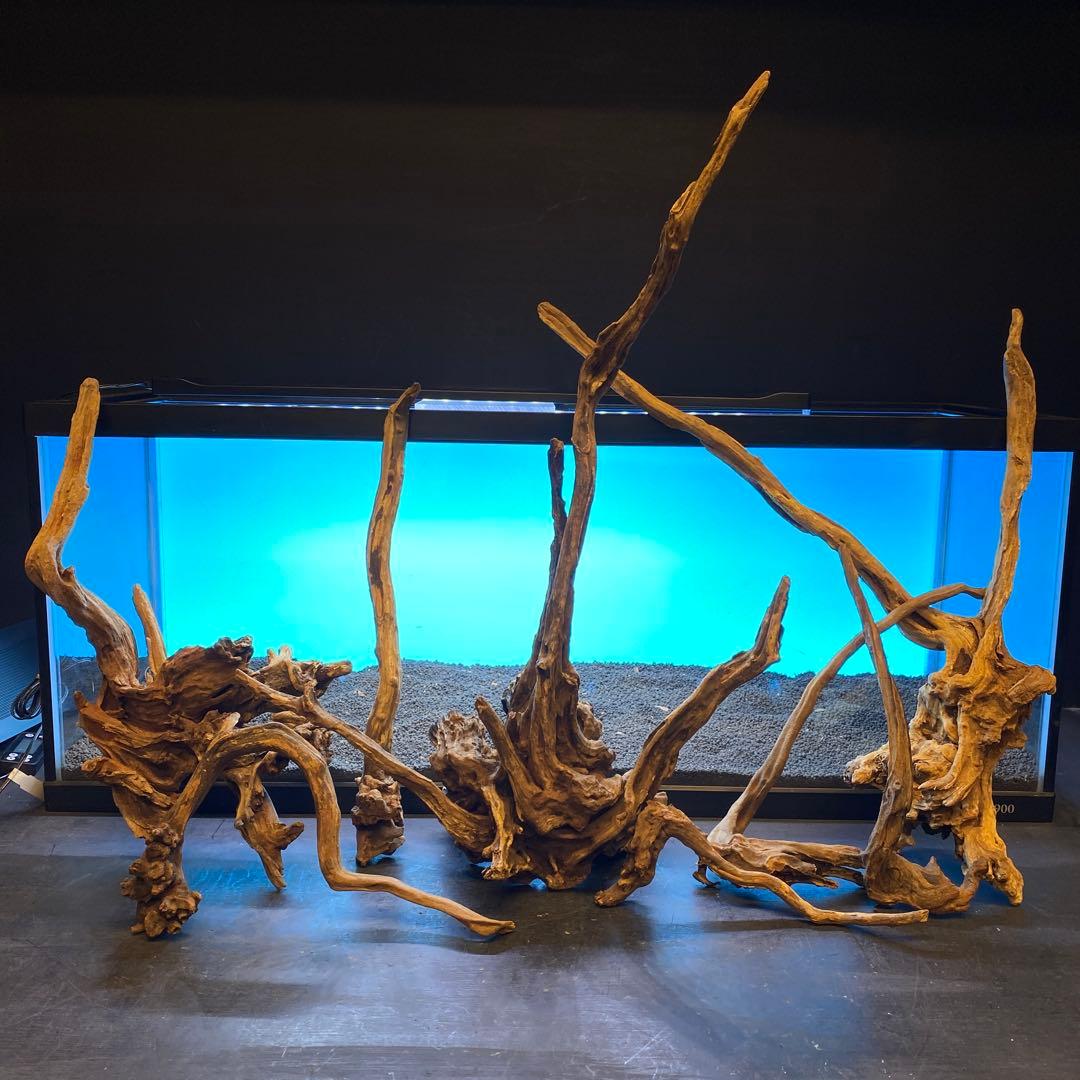 MSRW-6620 天然流木レイアウトセット スリムウッド アクアリウム