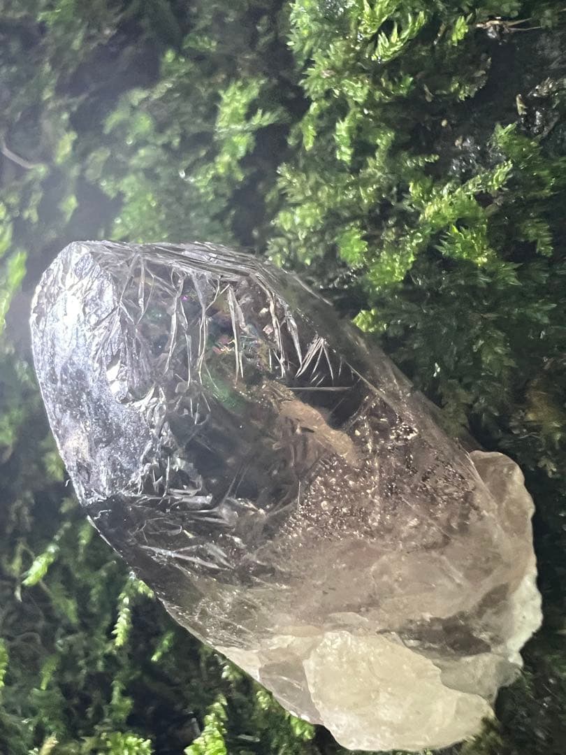 龍脈の精髄　宮崎産虹入り成長干渉煙水晶「祓いと覚醒、希望の光」【保護猫活動支援】