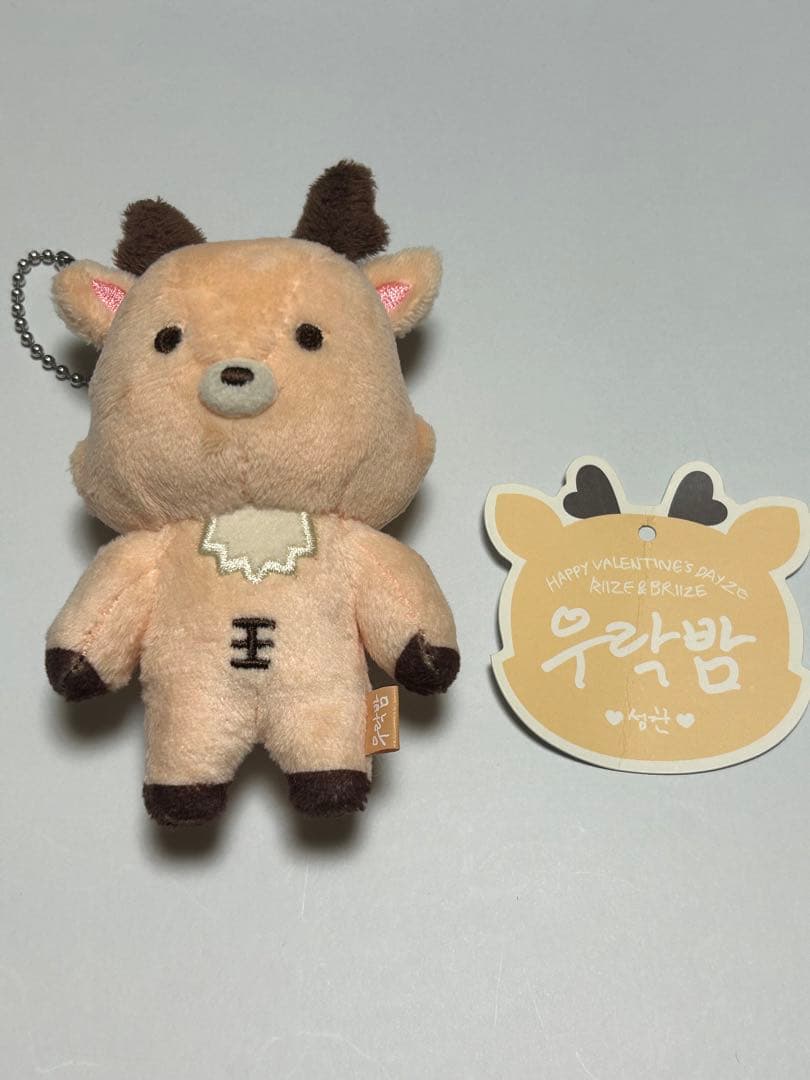 RIIZE ぬいぐるみ ドール 40cm ソンチャン ウラクバム 公式 ソウルコン