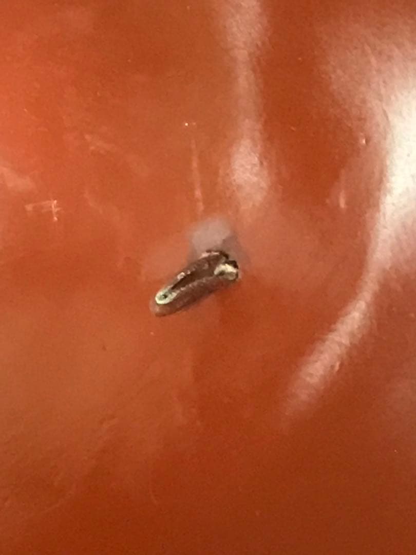 陣笠　丸に違い鷹の羽紋