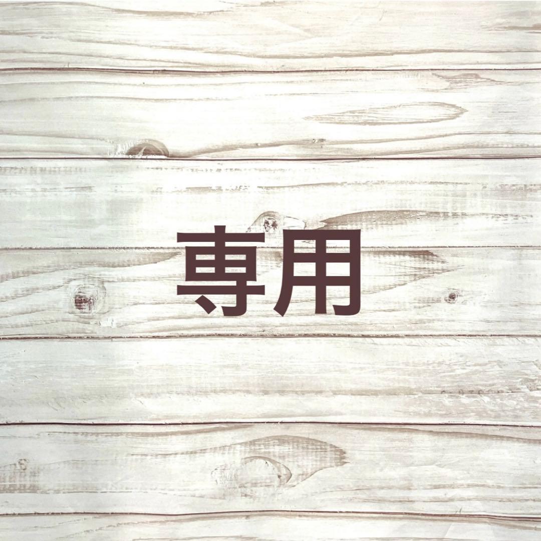 さわえ様 リクエスト 13点 まとめ商品 Santa様 リクエスト 2点 まとめ商品 S様 リクエスト 2点 まとめ商品 ZX