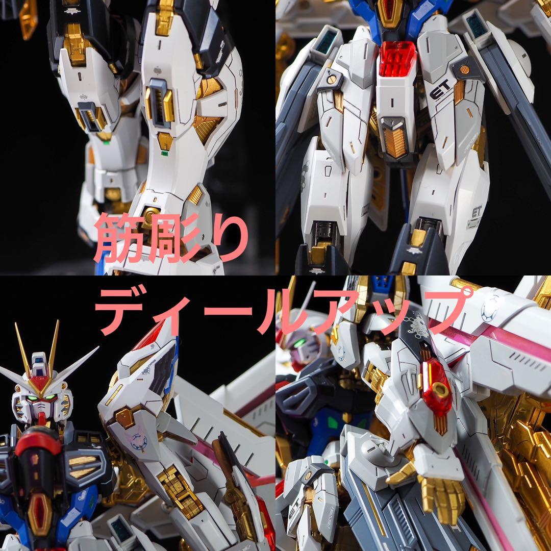 MGEX ストライクフリーダムガンダム 全塗装 完成品 筋彫り 塗り分け