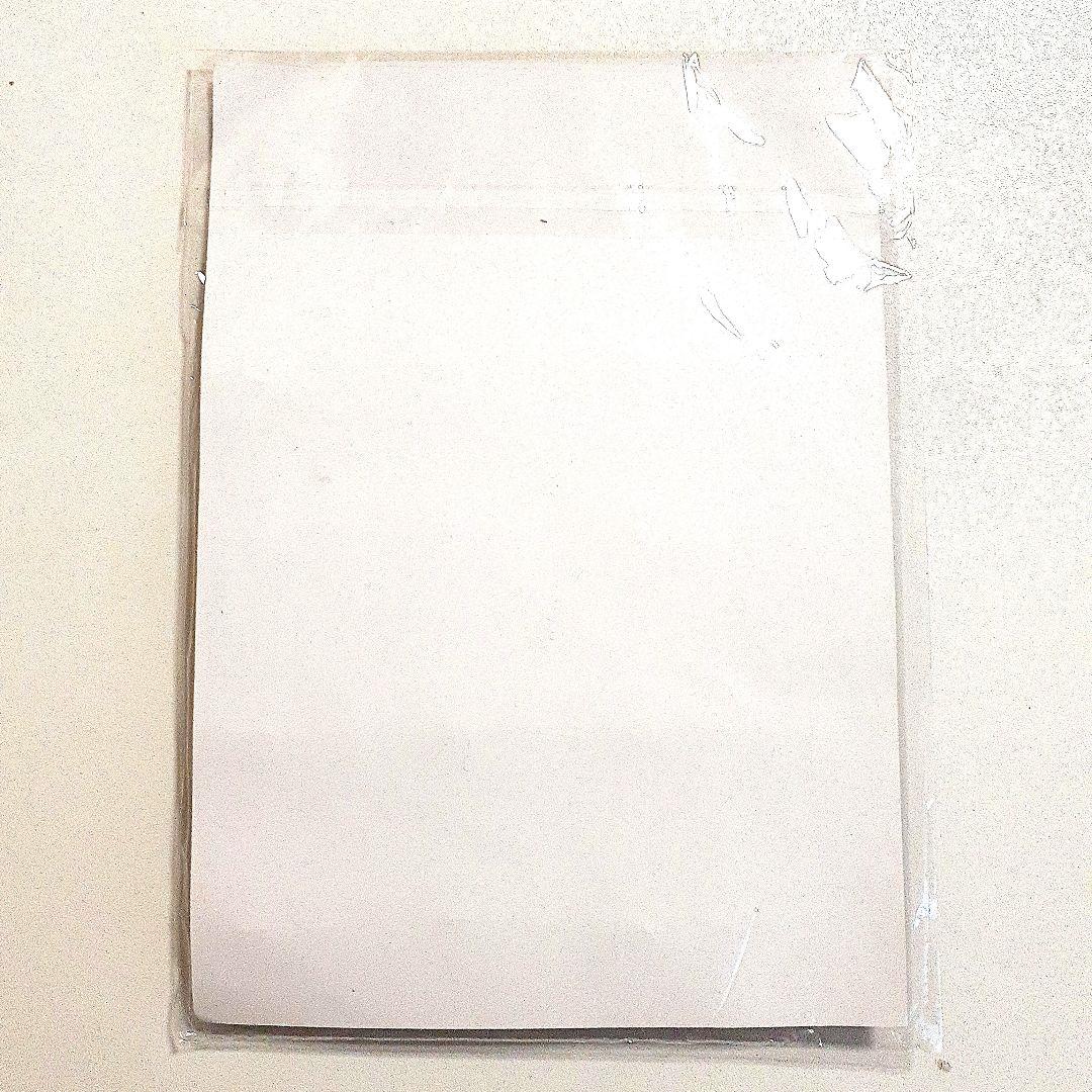 イブニング 夏フェス 2015 抽選 50名 限定 缶バッジ セット