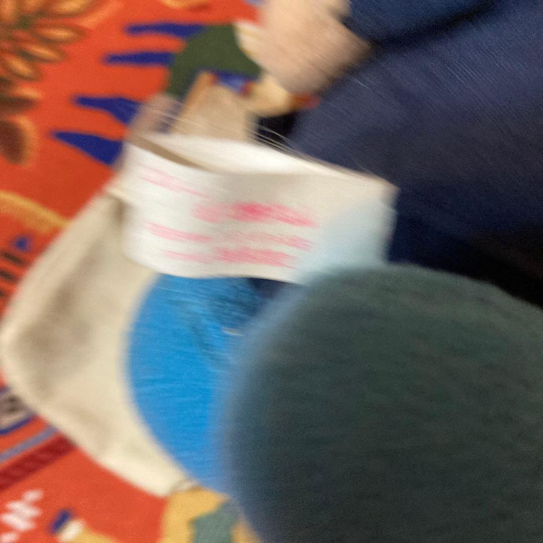 ぬいぐるみ ど根性ガエル 五郎 GORO ごろう ゴロー ピョン吉ヒロシでやんす