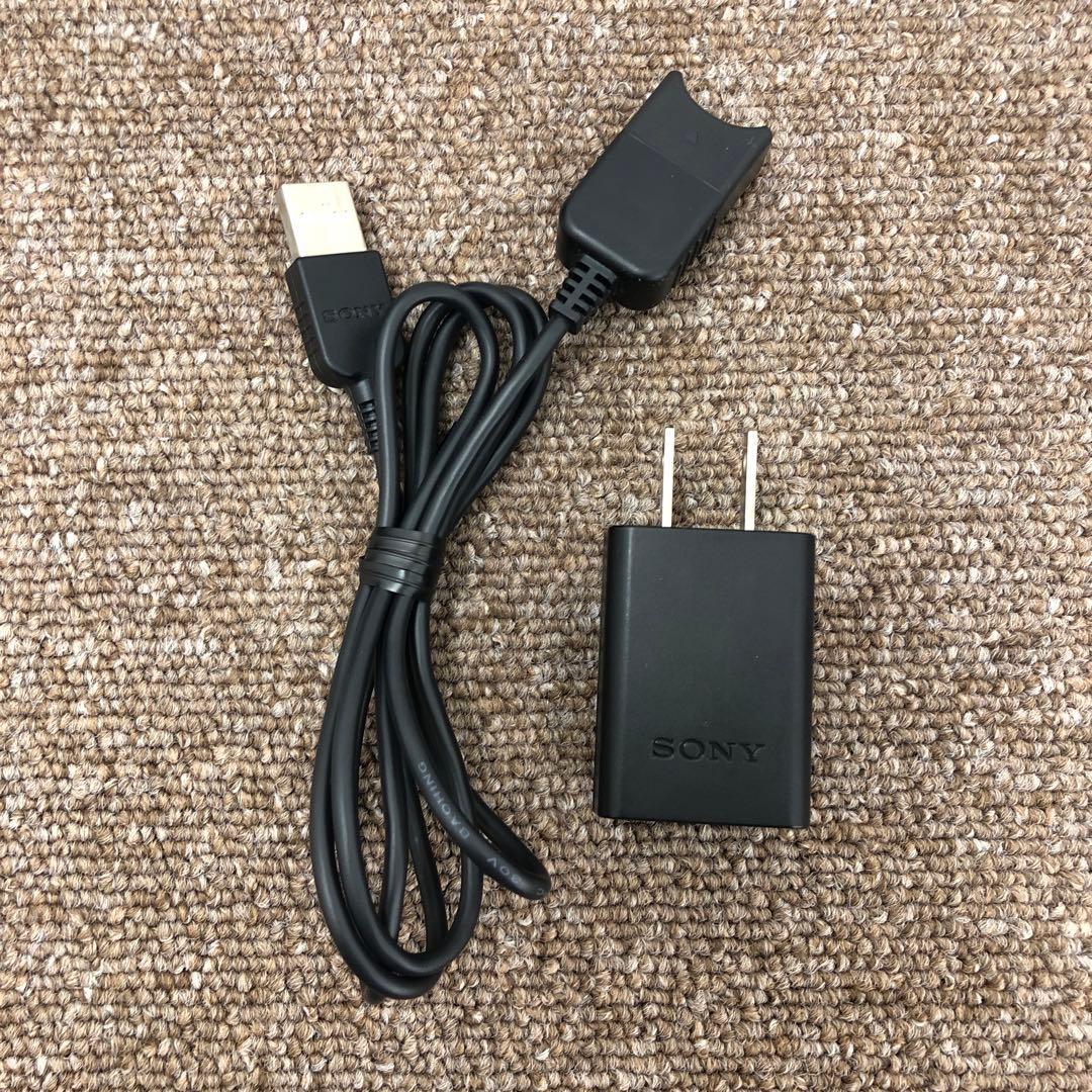 【ジャンク品】 ソニー ビデオカメラ HDR-CX480 液晶変色あり 動作OK