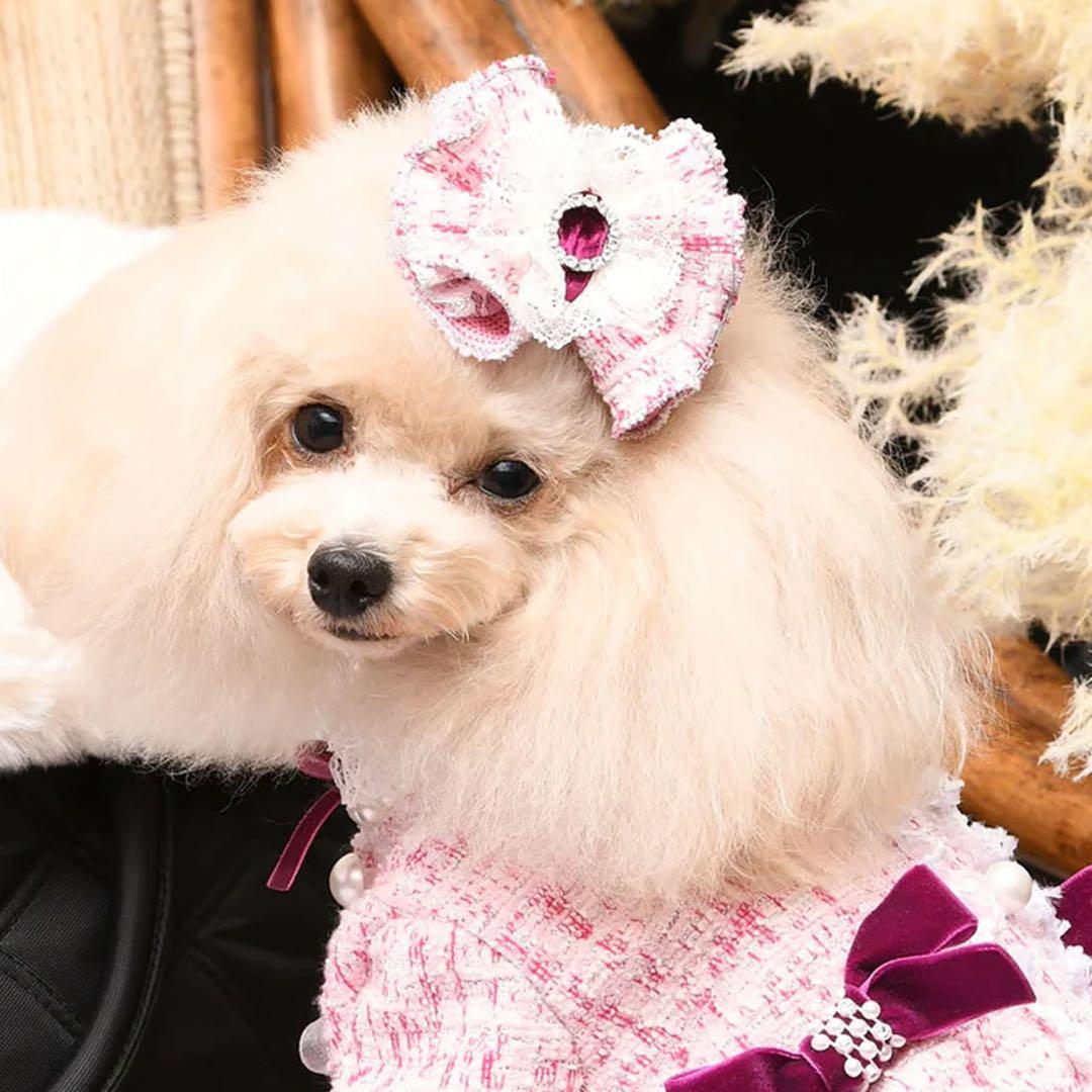 luxebirdieアデルワンピジャケットバレッタ3点セット犬服リュクスバーディ