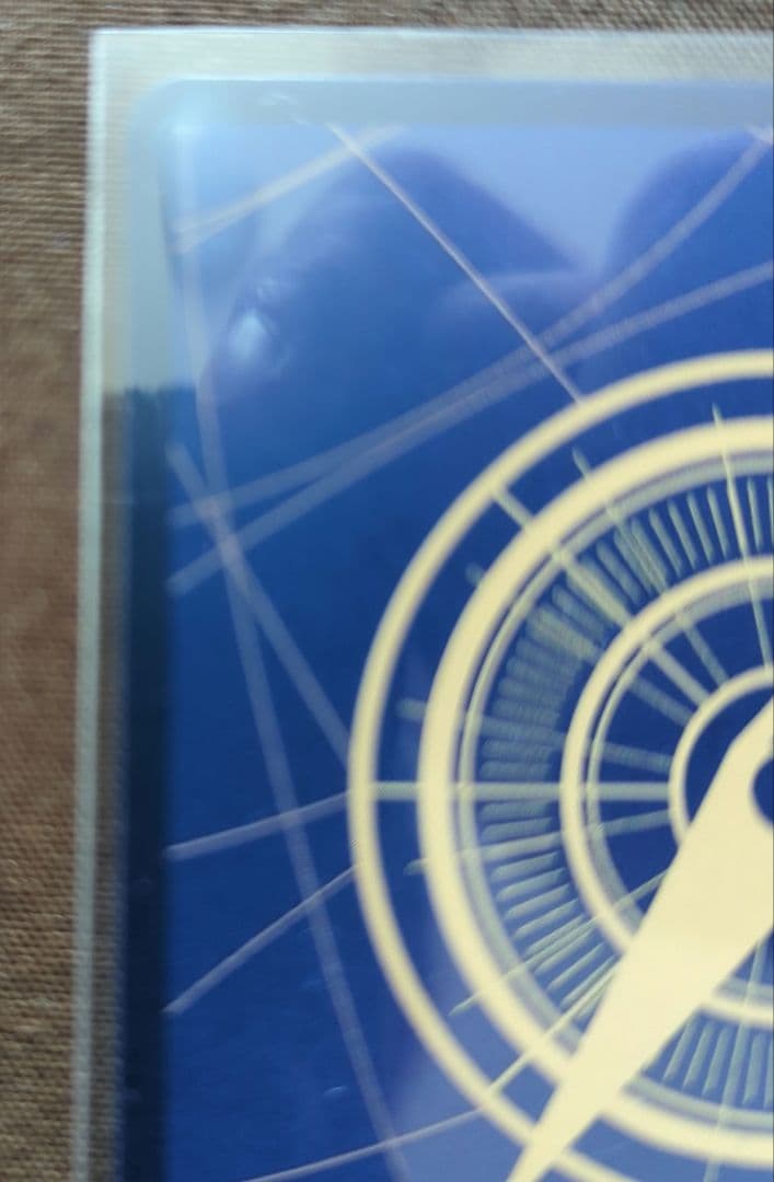 受け継がれる意志　ドンスーパーパラレル、ロジャー手配書