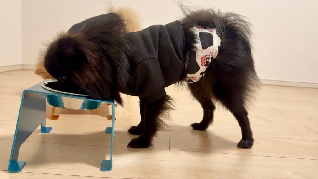 フードボウル | 名入れプレゼントショップ夕立窯 アルミフードボール