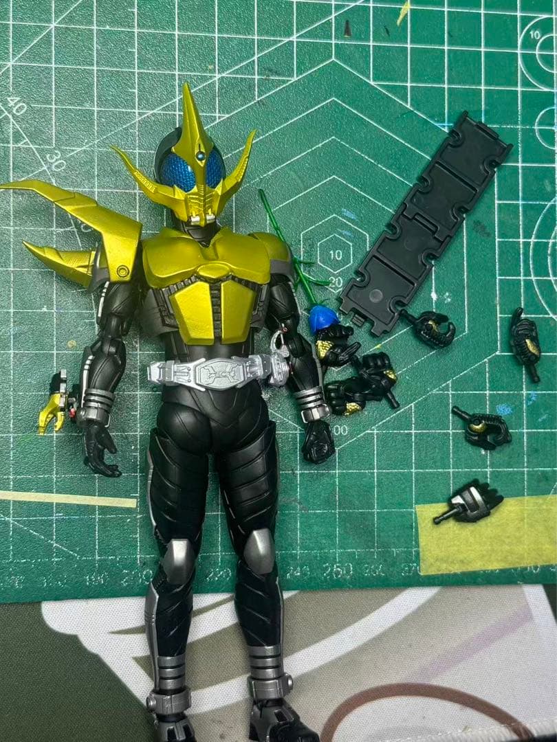 専用　コーカサス　ライブ