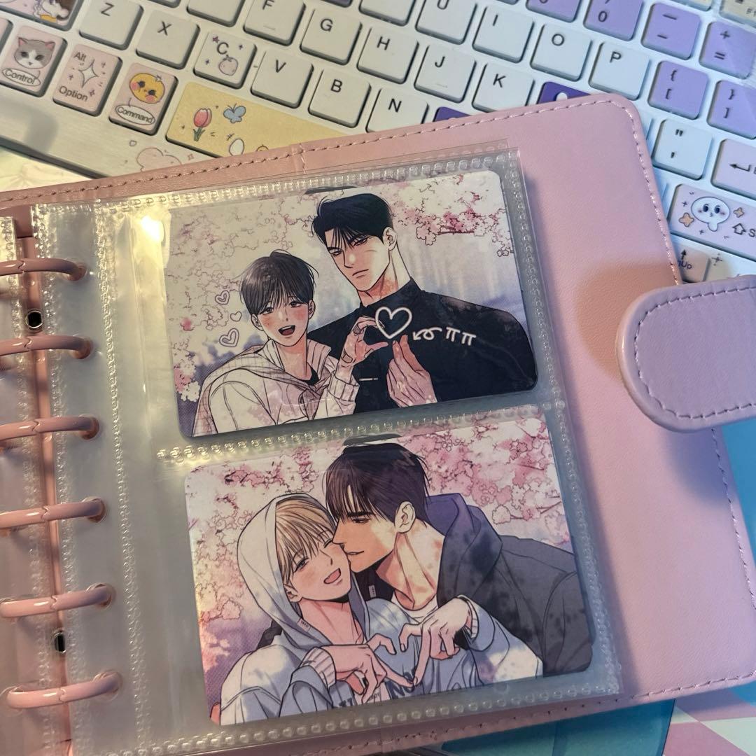 韓国BL 日刊アルバ 恋愛制限区域 訪問トレカカード 12枚コンプリート