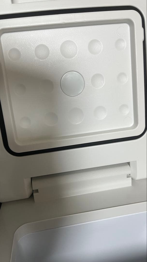 最終値下価格　すぐ発送9L車載用冷蔵冷凍庫ポータブルクーラーボックス 9L