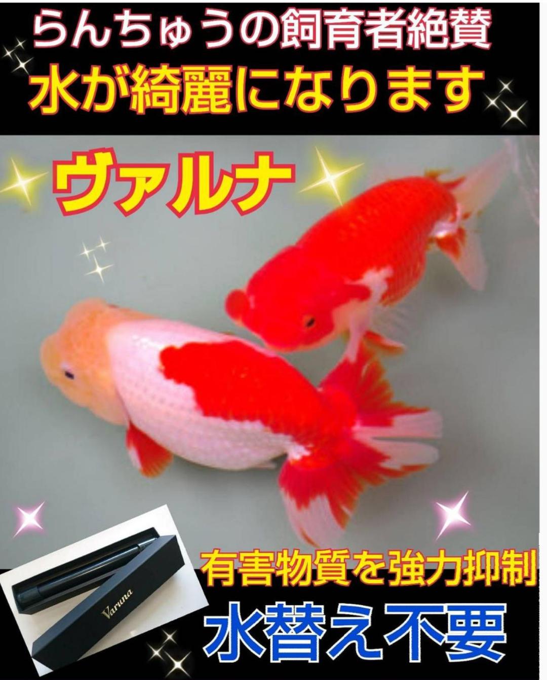 水槽の水が綺麗になる！【ヴァルナ23センチ】有害物質を強力抑制！水